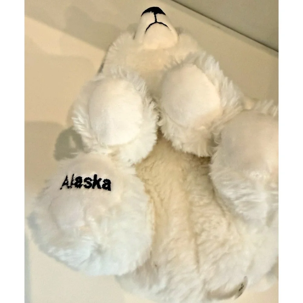 ACE‎ USA  Alaska 9